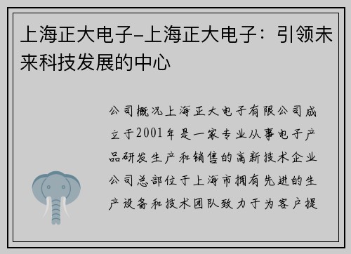 上海正大电子-上海正大电子：引领未来科技发展的中心